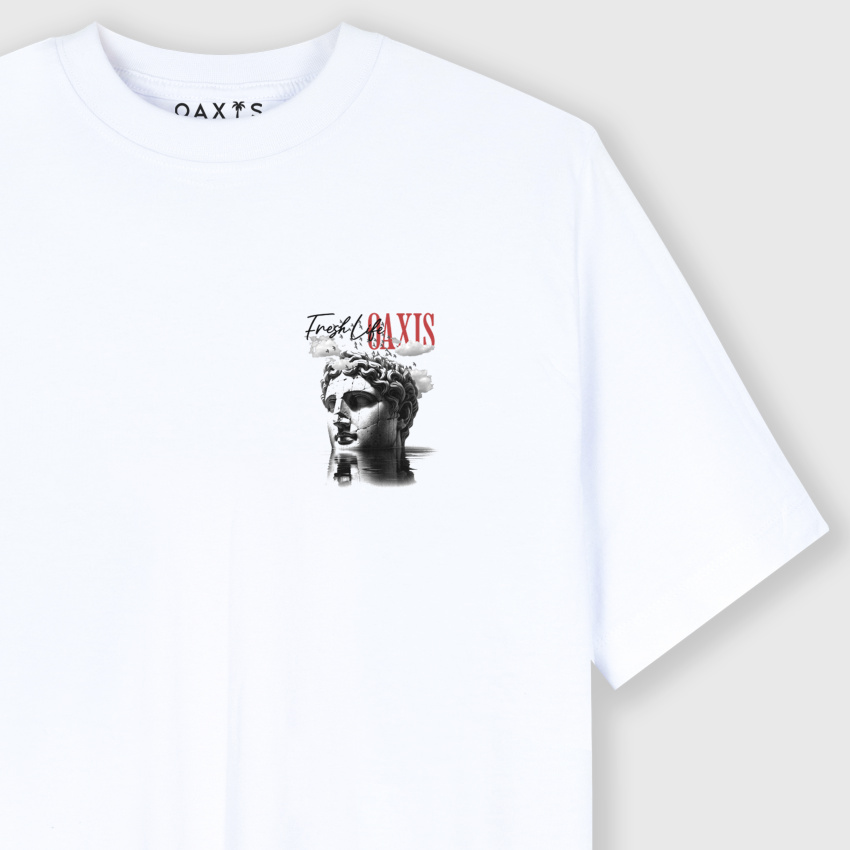 Camiseta para hombre regular DAVID FRESH