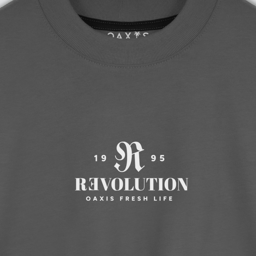 Camiseta oversize premium gris REVOLUTION
